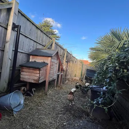 Au Gre Du Vent Bray-Dunes